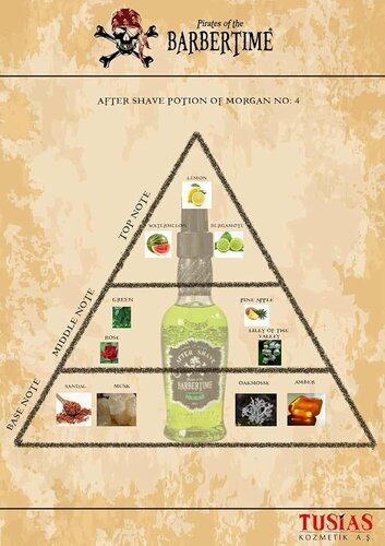 Barbertime Aftershave No.4 Potion of Morgan 150ml – Frisch & holzig